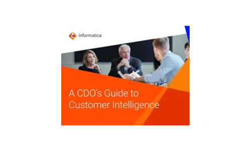 Ein CDO -Leitfaden für die Customer Intelligence