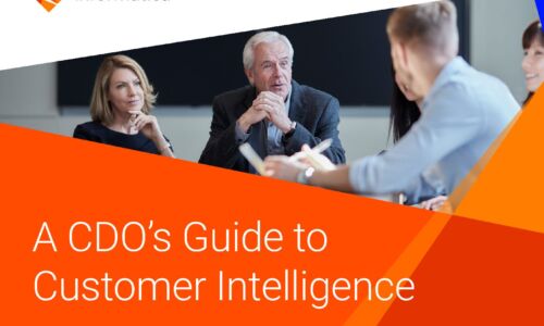 Ein CDO -Leitfaden für Customer Intelligence