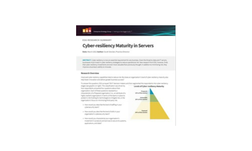 Reife der Cyber-Resilienz auf Servern