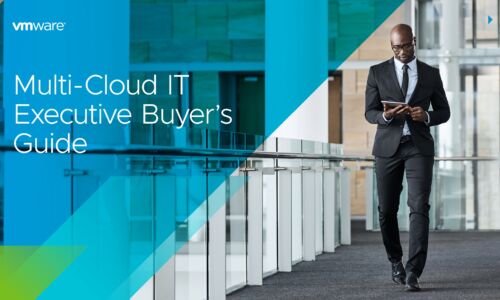 Multi-Cloud IT Executive Buyer